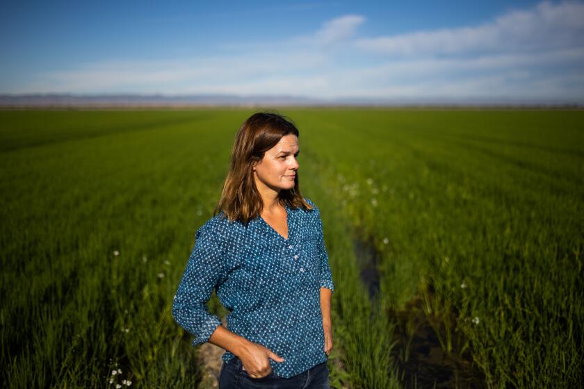 Kim Gallagher poses for a portrait in one of her rice fields in Knights Landing, California, August 3, 2021.