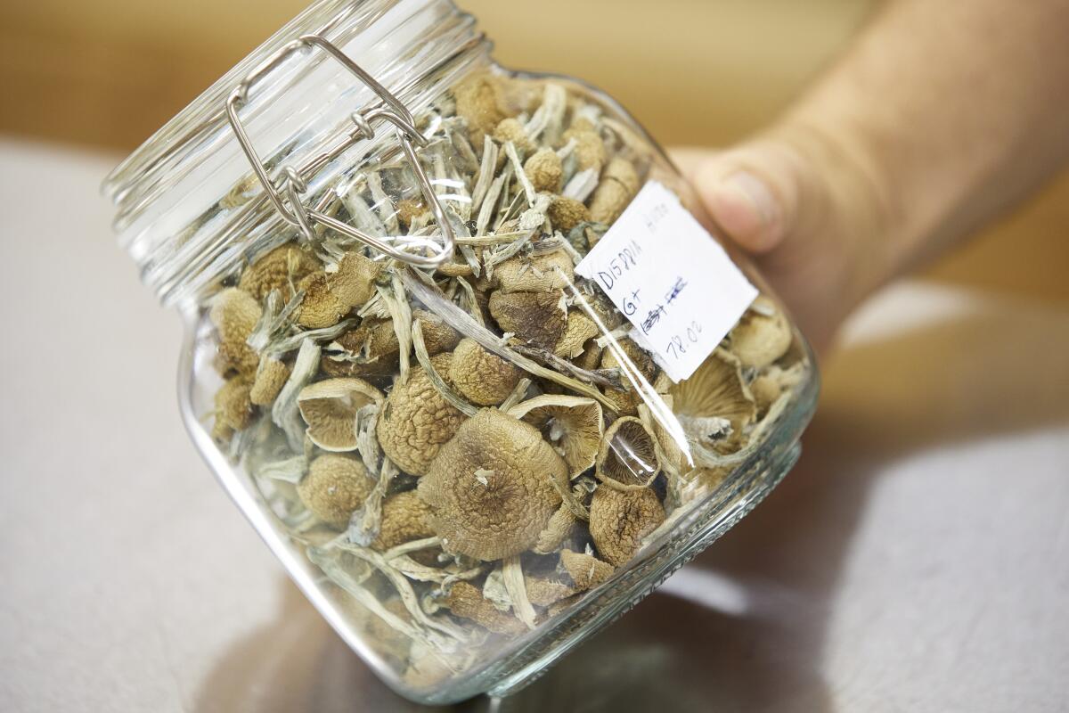 Jar of magic mushrooms