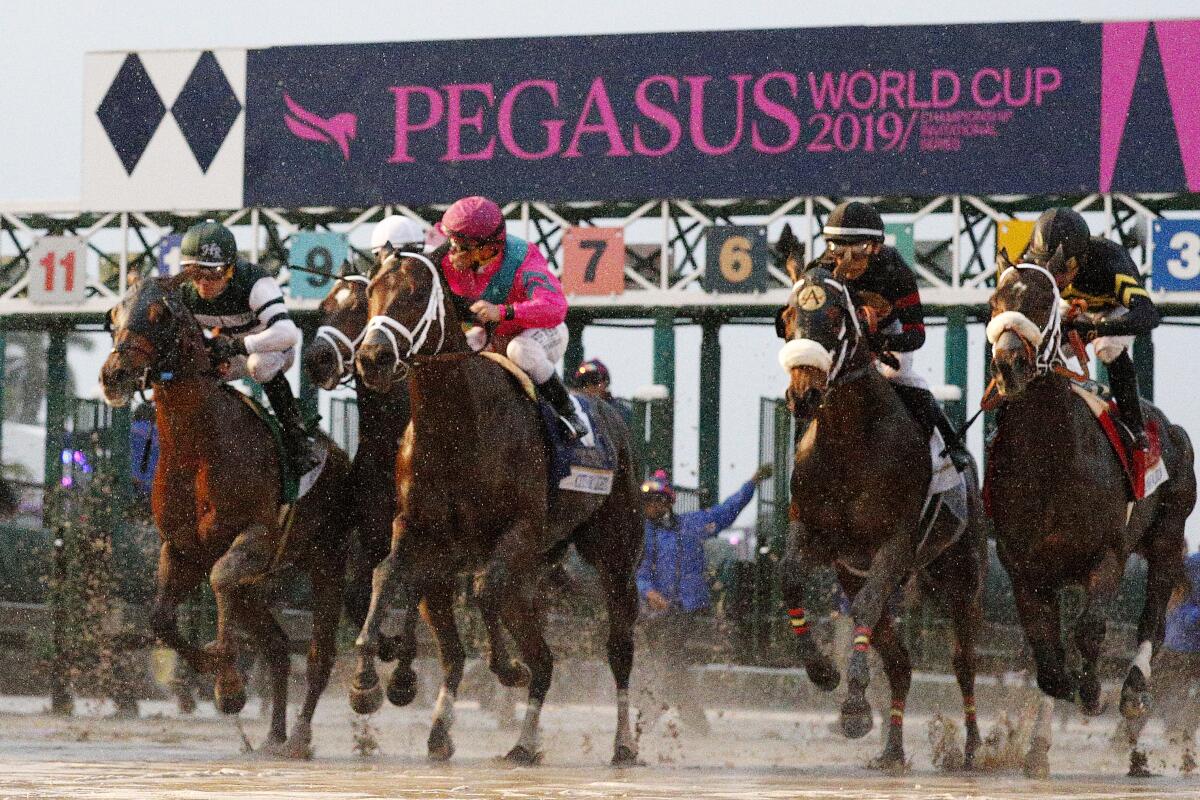 The field breaks from the gate at the start of the the Pegasus World Cup Championship at Gulfstream Park on January 26, 2019.