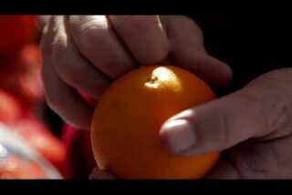 Market fresh: Navel oranges