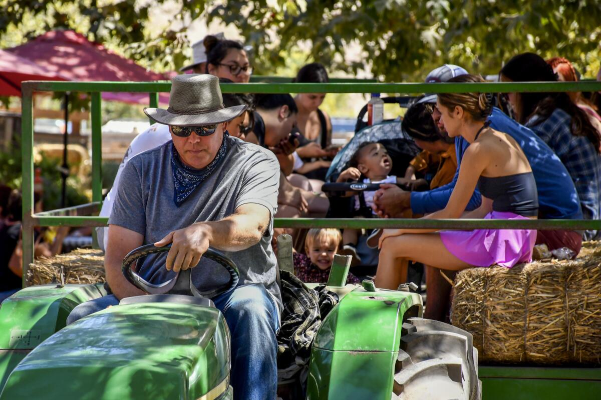A man sits on a tractor and people sit on hay bales behind him