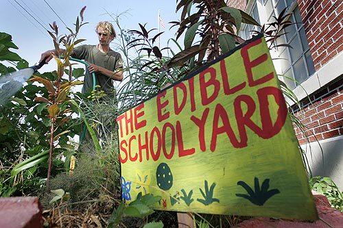 Tending the garden