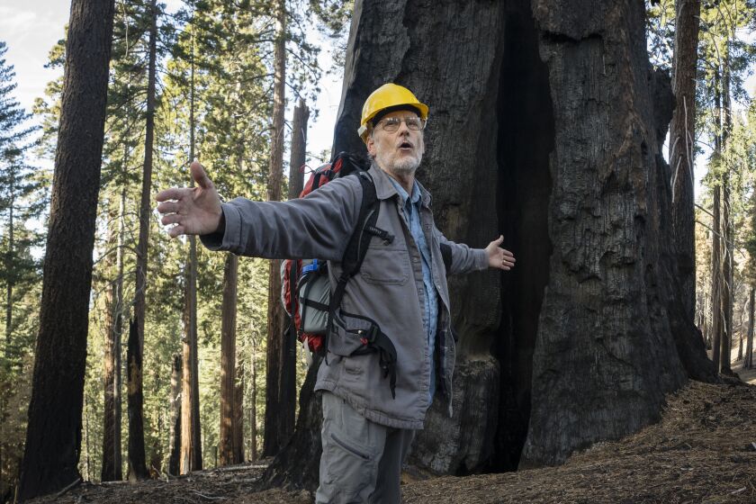 Nathan Stephenson, Scientist Emeritus, Western Ecological Research Center, speaks to the loss of giant sequoias in the Redwood Mountain Grove at Sequoia and Kings Canyon National Parks.