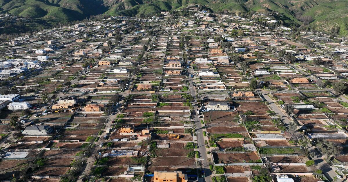 Trump tekent een uitvoerend bevel om het vergunningsproces voor door brand verwoeste huizen in LA te ‘vooruitlopen’