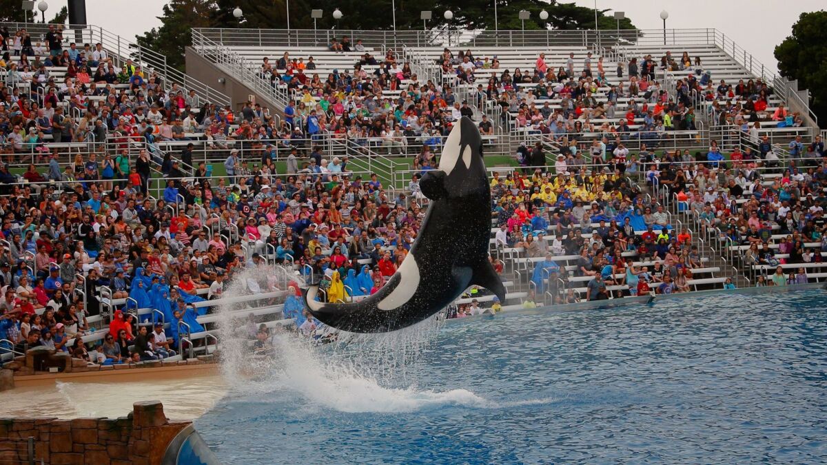 SeaWorld San Diego decided to close Tuesday because of expected strong winds and rain showers.