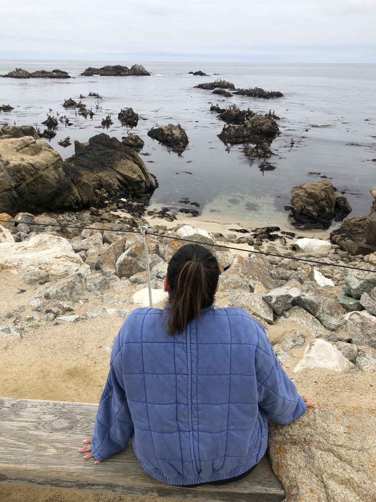 A woman sits with her back to camera, looking out at a rocky coastline with pelicans resting on rocks.