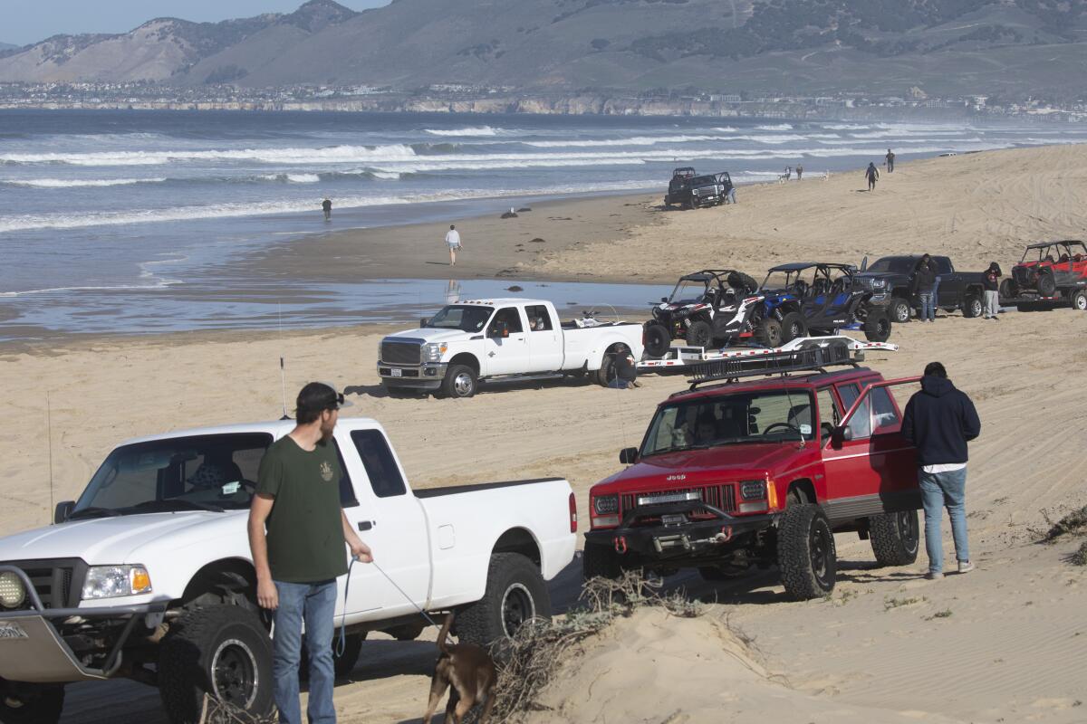 Vehicles are parked on a sandy beach 