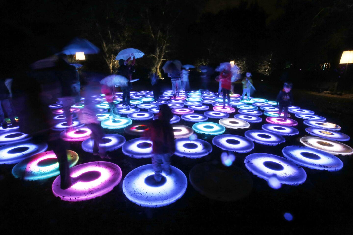 Visitors walk through the Descanso Gardens' “Enchanted: Forest of Light” in the rain Dec. 23.