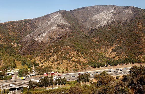 Hilltops charred by fire overlook the 405 Freeway in the Sepulveda Pass near the Getty Center. The fire, which started Wednesday afternoon, burned 80 acres and forced evacuations from the Getty and Mount St. Mary's College. It was 90% contained by Thursday morning, though Getty Center Drive remained closed.