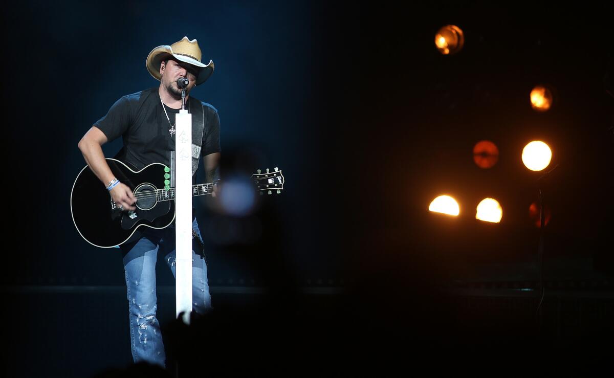 Jason Aldean performs during his ninth annual Concert For The Cure at The Palace of Auburn Hills on Saturday in Auburn Hills, Mich.