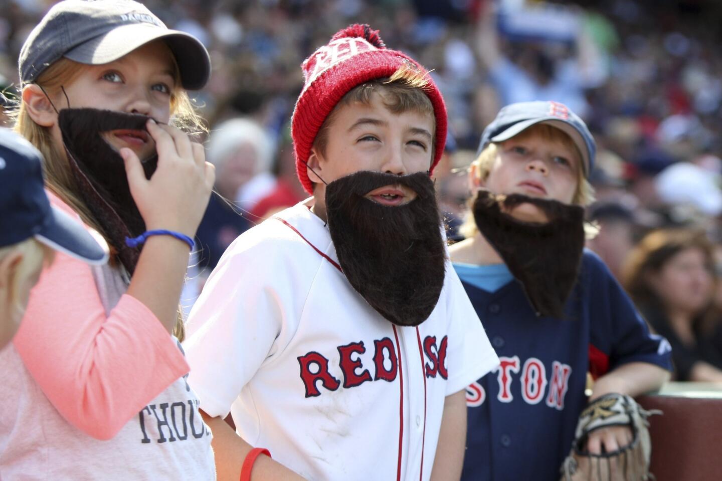 Red Sox Fans Of The Beard