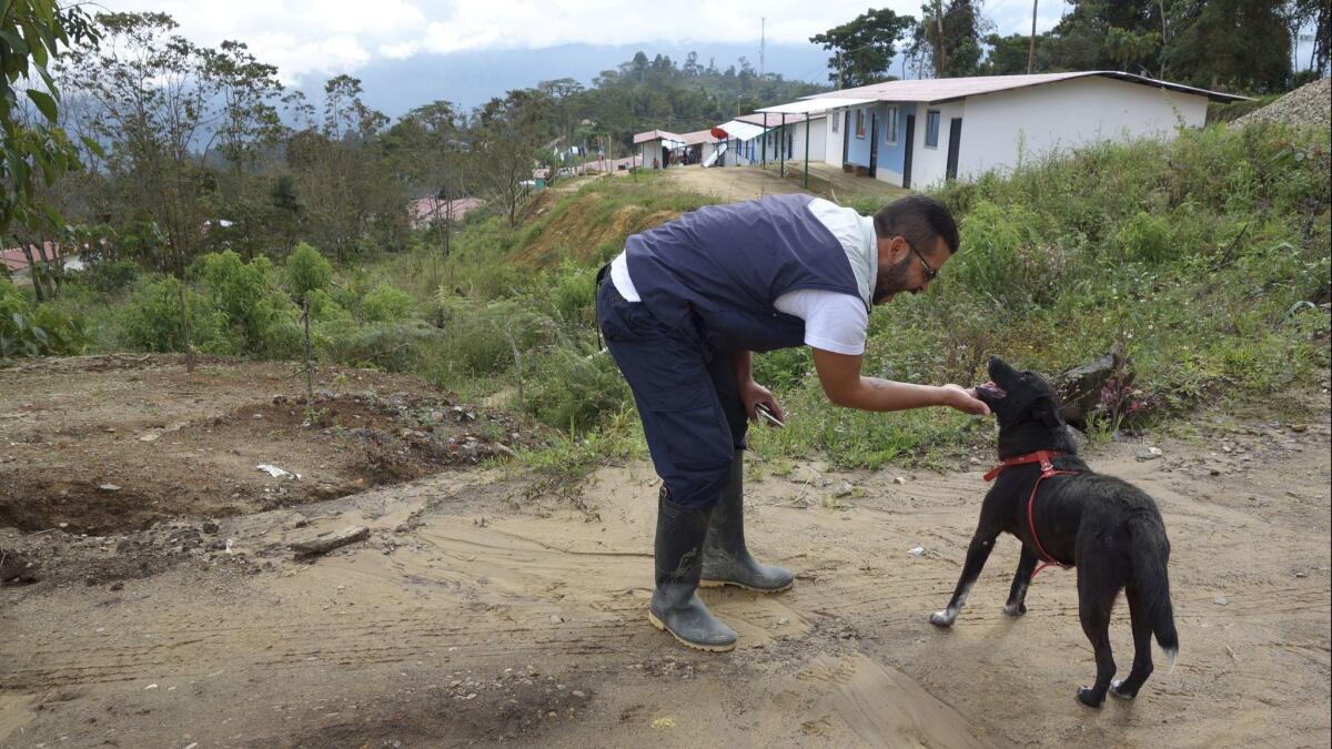 Alirio, a fighter who spent 14 years in prison, in front of housing at the Icononzo camp that houses 250 residents.