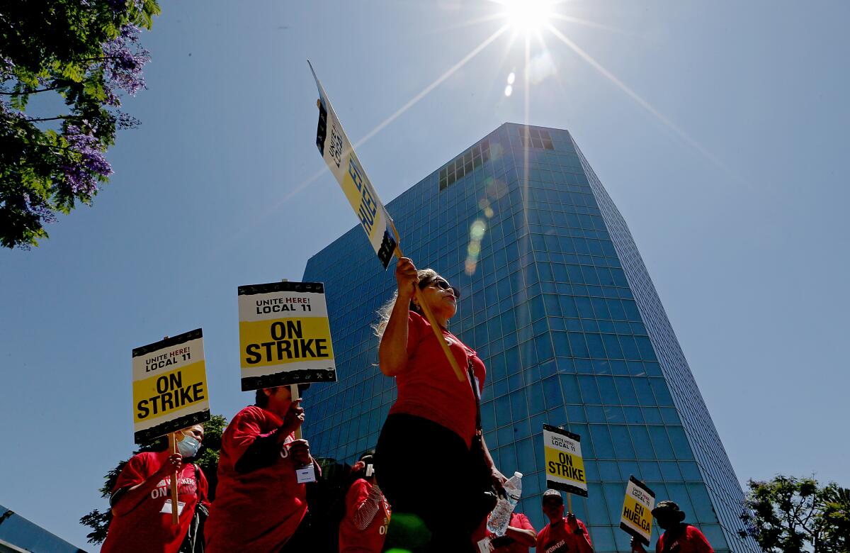 In a low-angle view, people walk in a curving line holding picket signs while sun rays are visible above them.