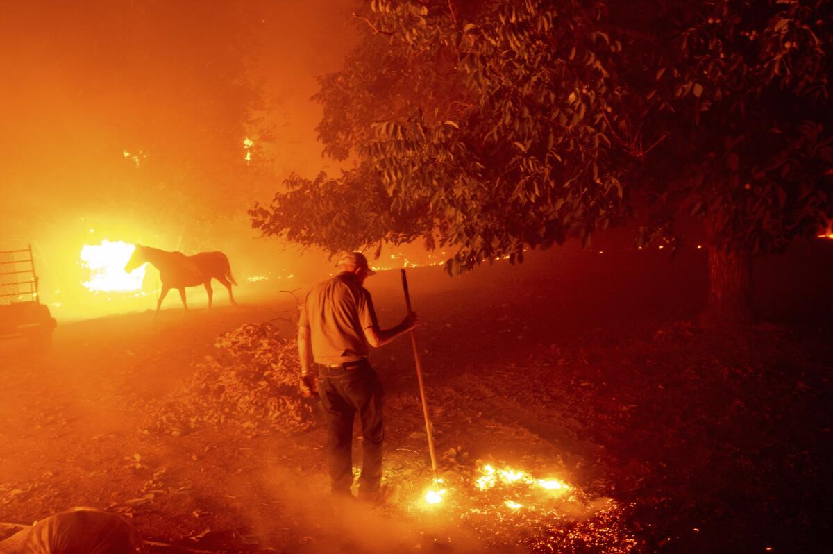 Bill Nichols, 84, works to save his home as the LNU Lightning Complex fire tears through Vacaville, Calif.