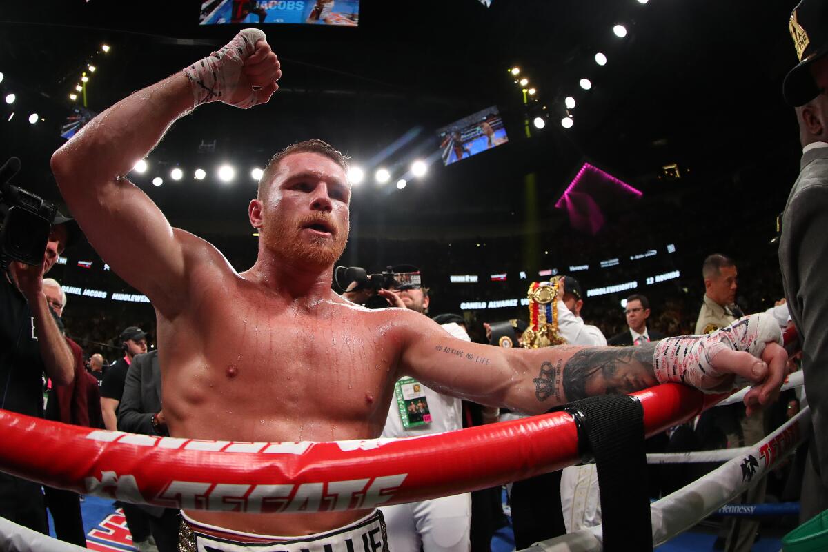 LAS VEGAS, NEVADA - MAY 04: Canelo Alvarez celebrates after his unanimous decision win over Daniel Jacobs in their middleweight unification fight at T-Mobile Arena on May 04, 2019 in Las Vegas, Nevada. (Photo by Al Bello/Getty Images) ** OUTS - ELSENT, FPG, CM - OUTS * NM, PH, VA if sourced by CT, LA or MoD **