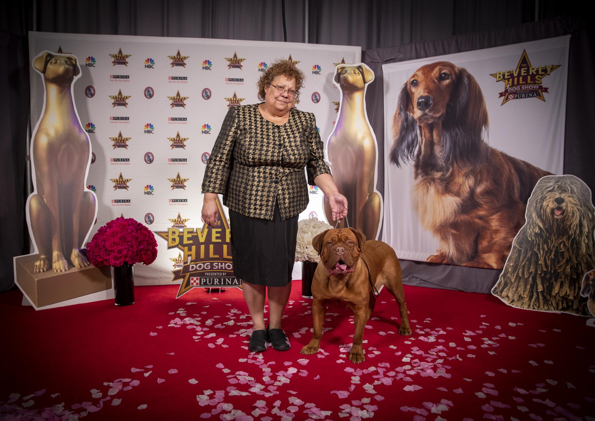Vi Harrison, 61, of Benson, Ariz., poses with her 19-month-old Dogue de Bordeaux call-named "Rowling" from Sweden, officially named Grande Bulls Bellatrix Lestrange.
