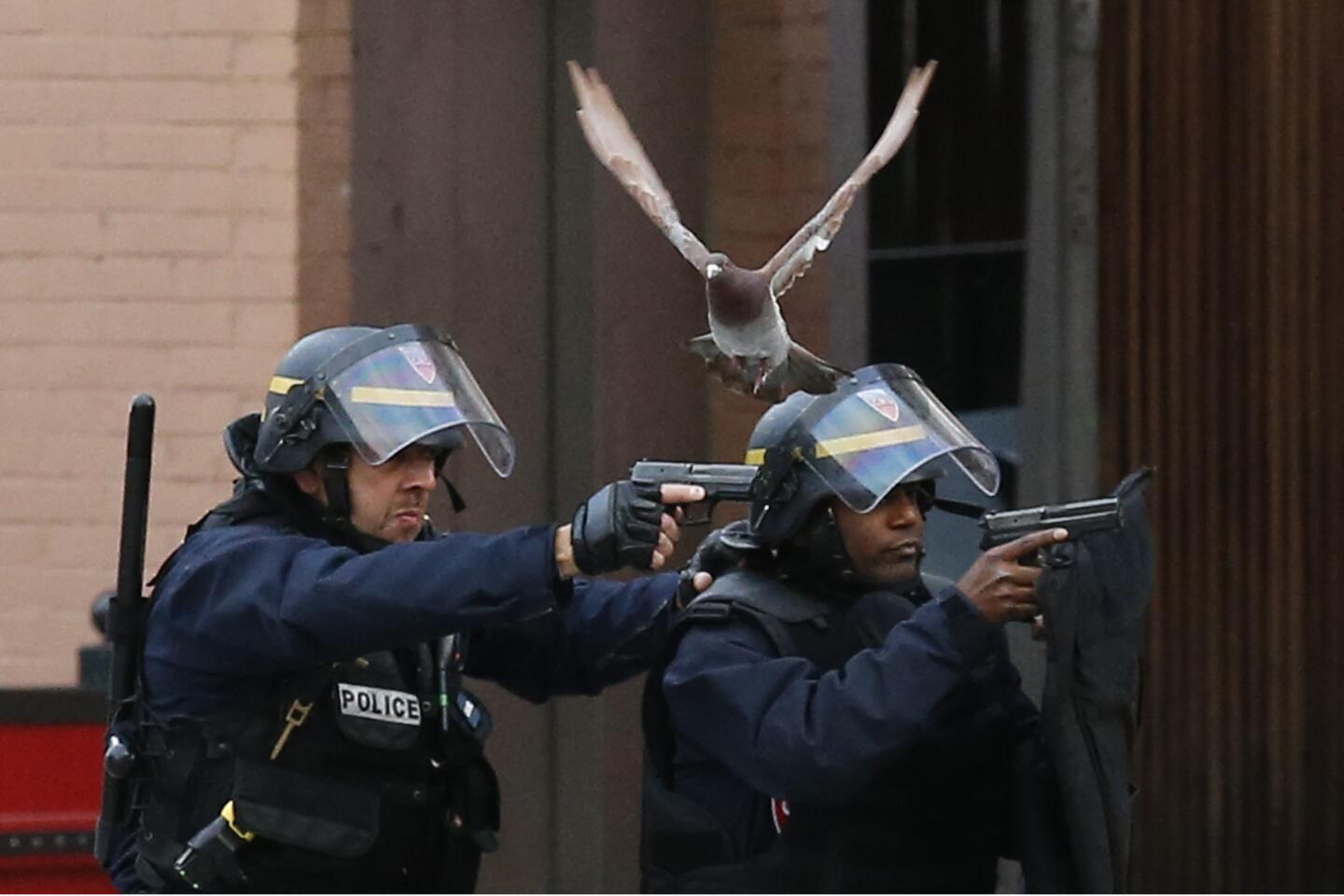 Pictures in the News | Paris