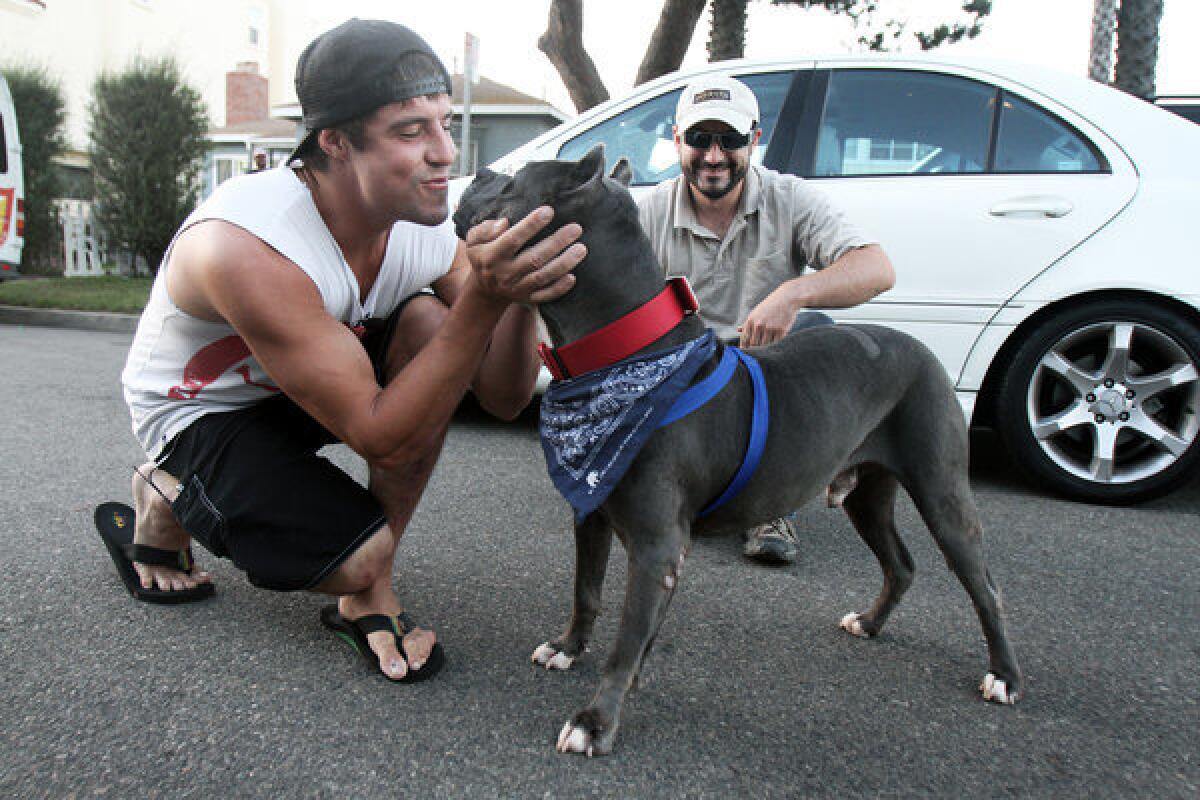 Dog owner Eric Hough, left, reunites with his dog, Smoke, at his Huntington Beach home. "I'm stoked that I'll be able to have him now in my life everyday," Hough says. Hough plans to take him on daily walks at the beach, he adds.