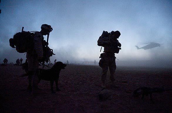 Military operation in Afghanistan's Helmand province