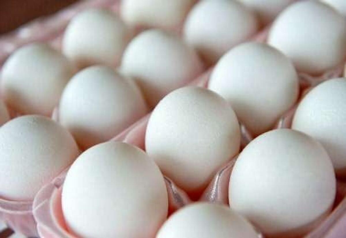 A 20-year-old man in Tunisia died after eating the eggs in a bet with friends, news reports say.