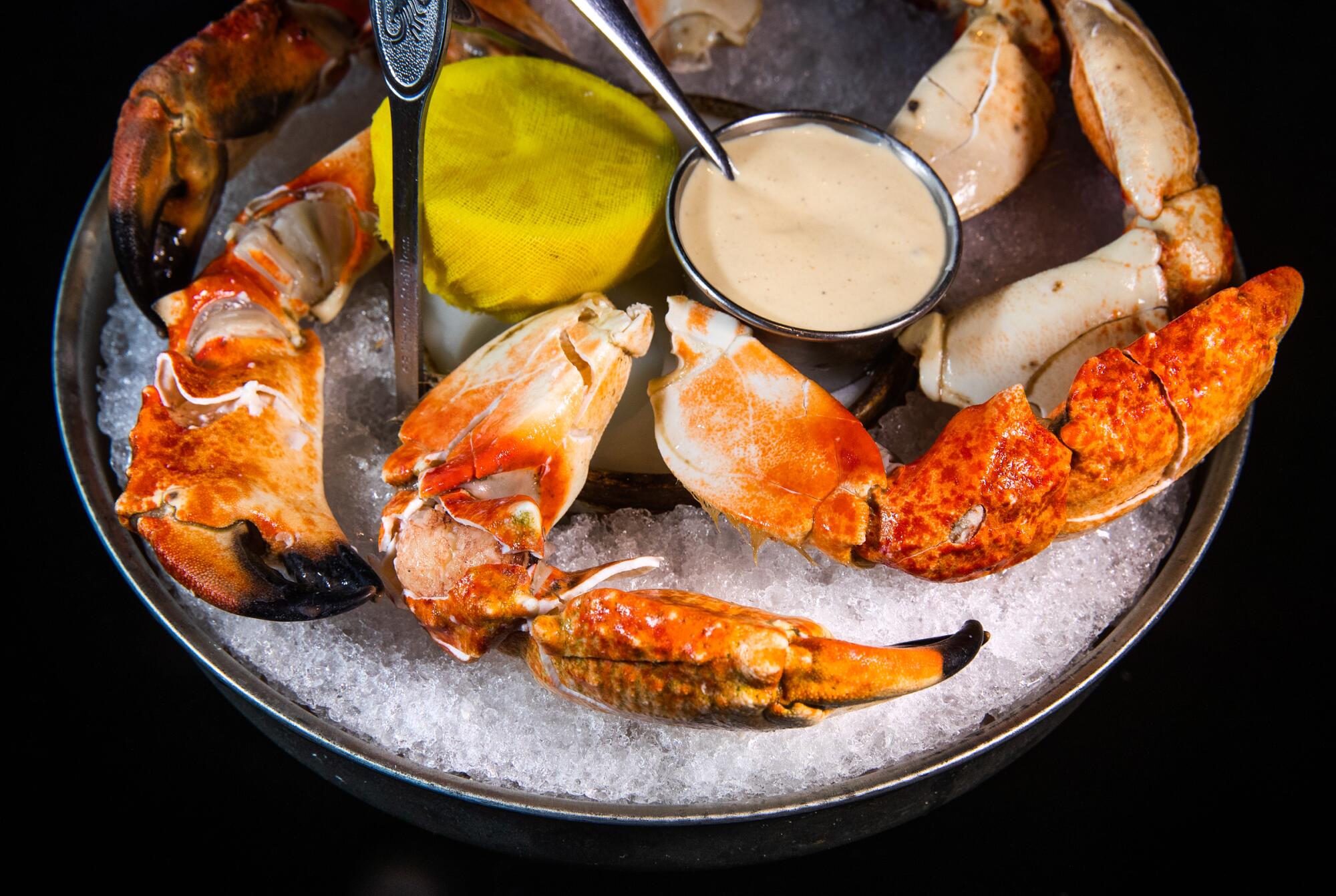 Stone crab claws sit on top of a platter filled with ice