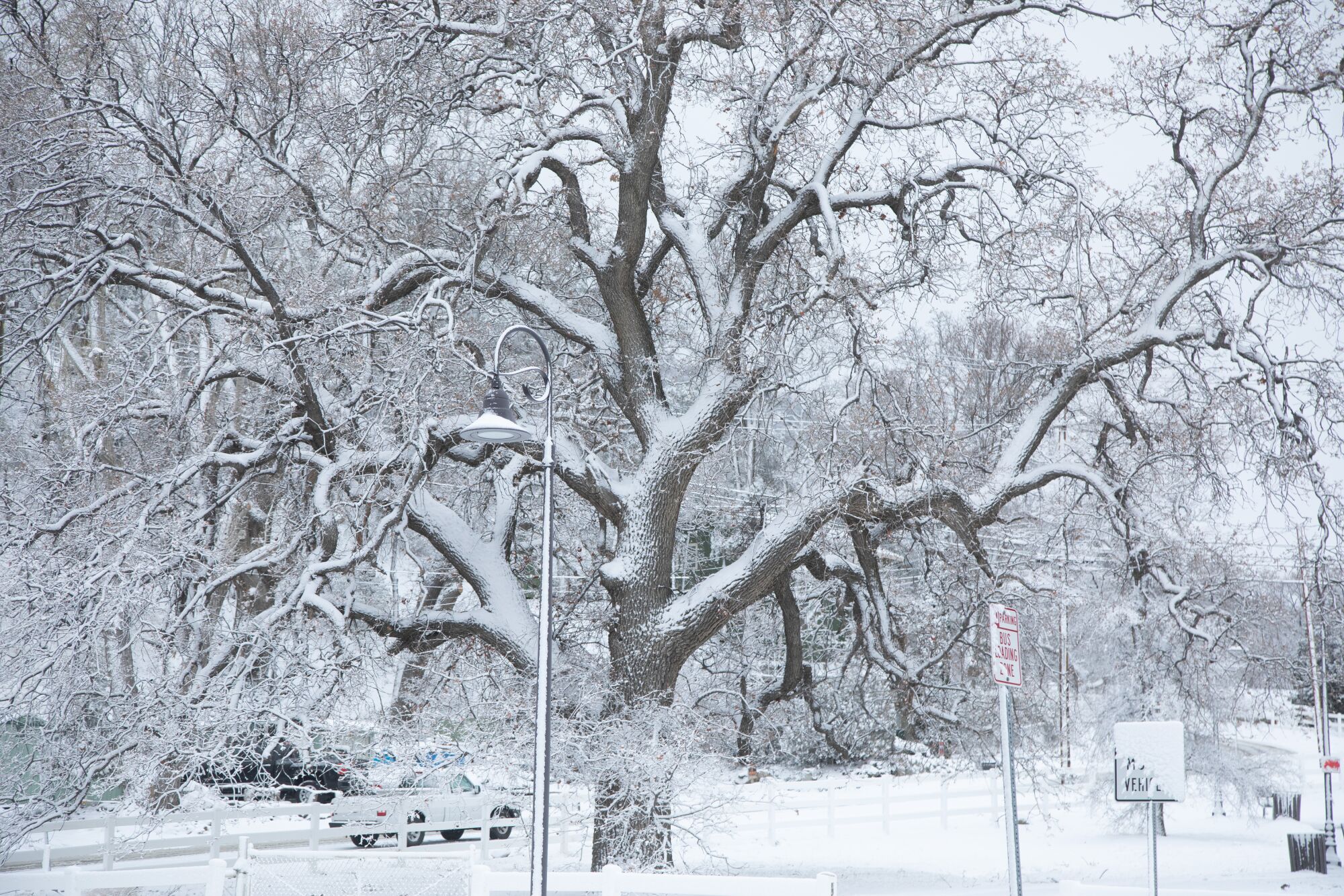 The Kern County community of Frazier Park was blanketed in snow after a winter storm swept through the region.