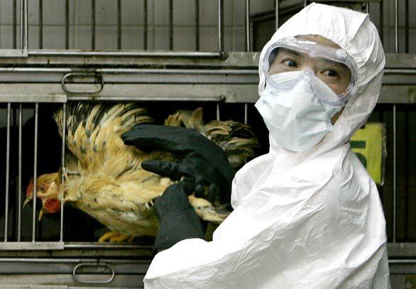 Wednesday: The Day in Photos, Bird Flu in Hong Kong