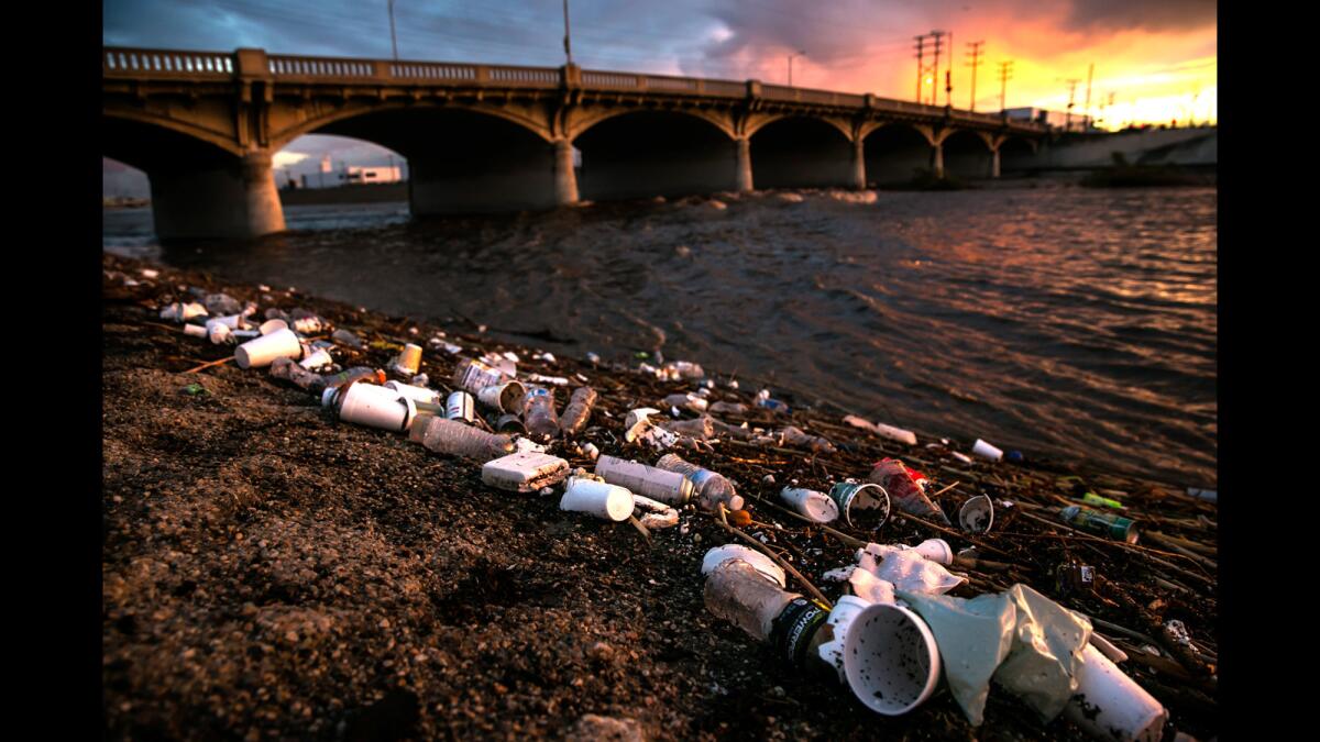 Trash collects on the banks of the Los Angeles River after a heavy rainstorm passed through the area, raising the water levels in the river in Vernon.