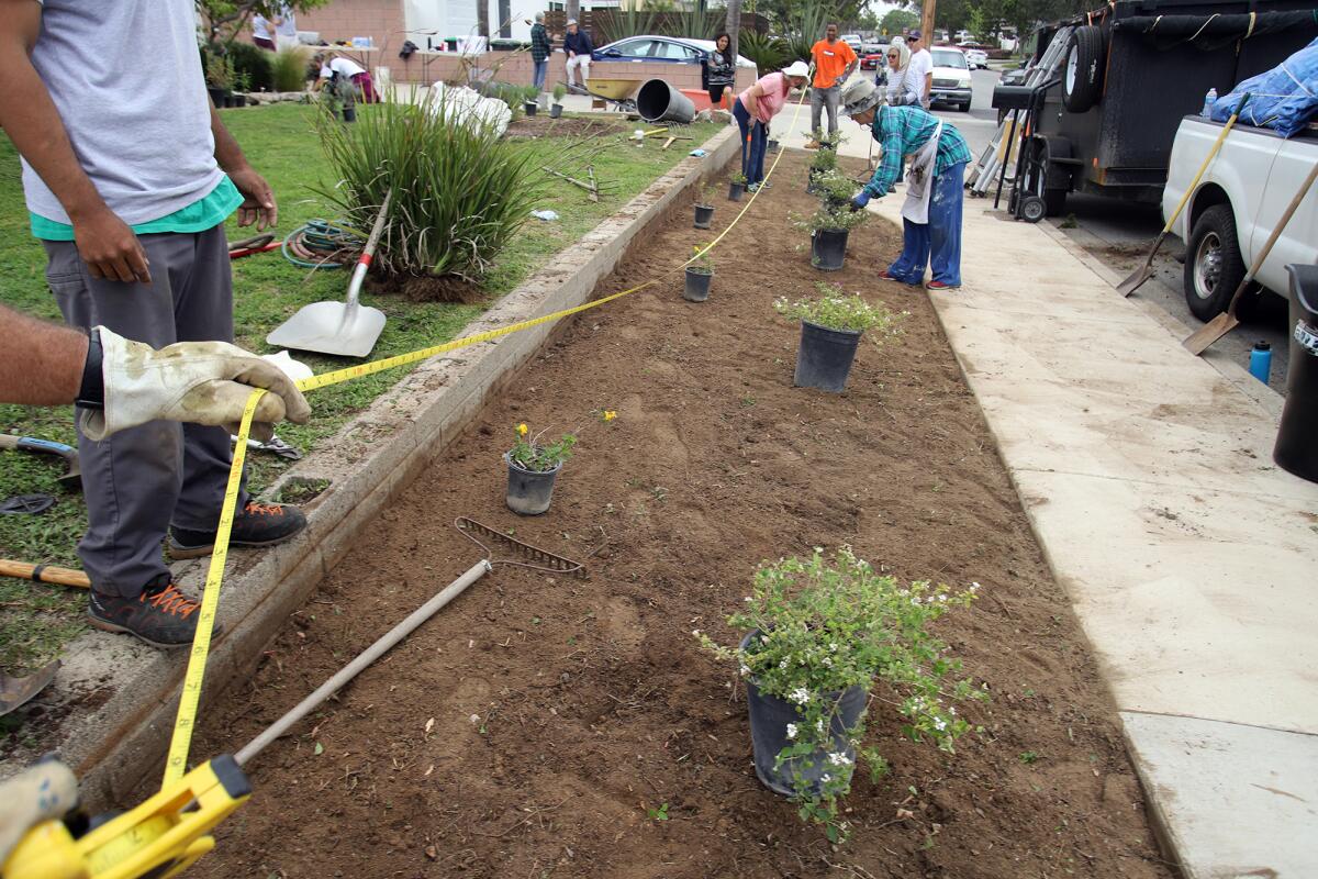 Volunteers from Labors of Love take part in a landscaping project for a Costa Mesa homeowner on Saturday.