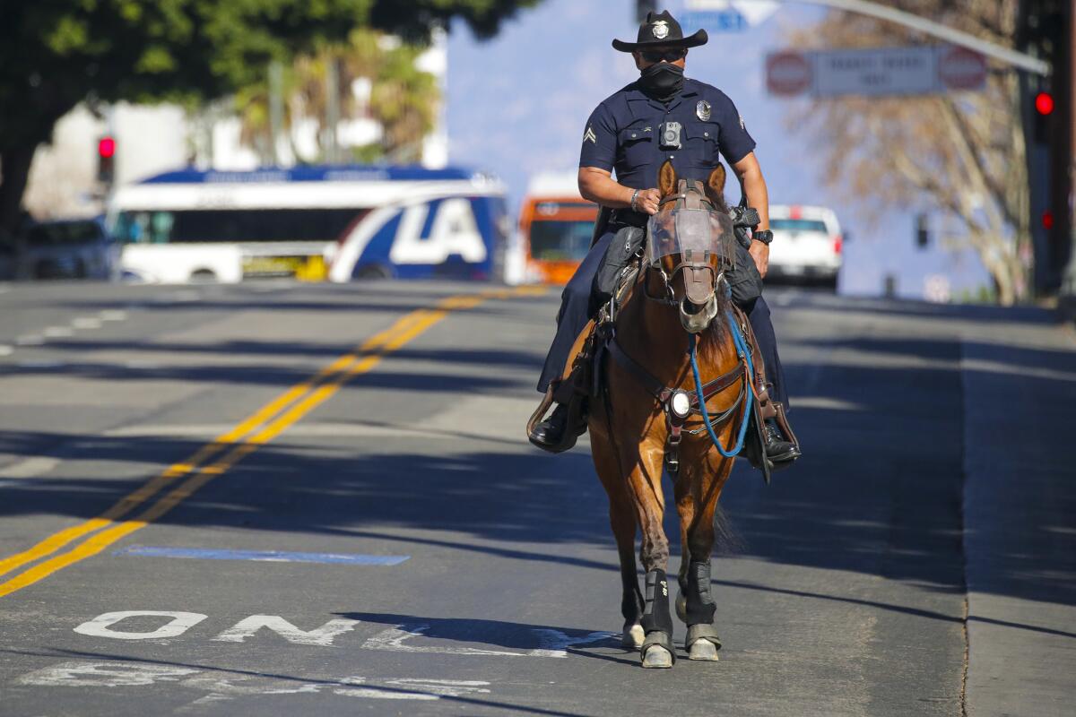 During the inauguration of Joe Biden as the 46th president, LAPD conducted mounted horse patrols in downtown Los Angeles.