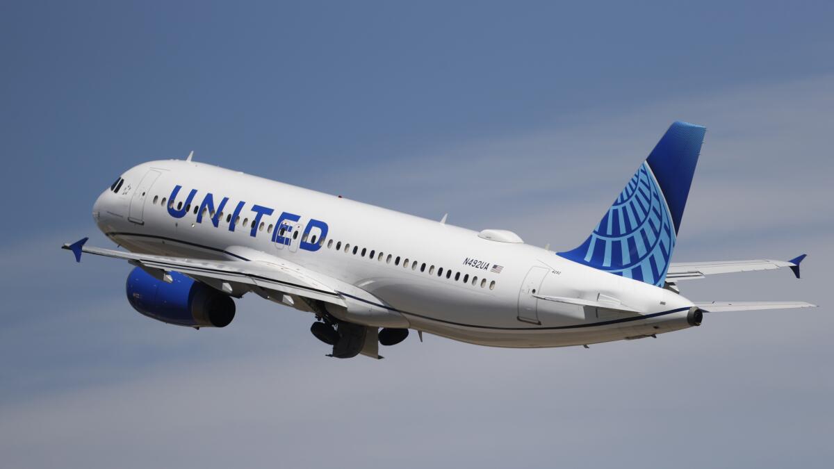 Flight attendants claim United took them off Dodgers' charter flights for not being 'white, young, thin'