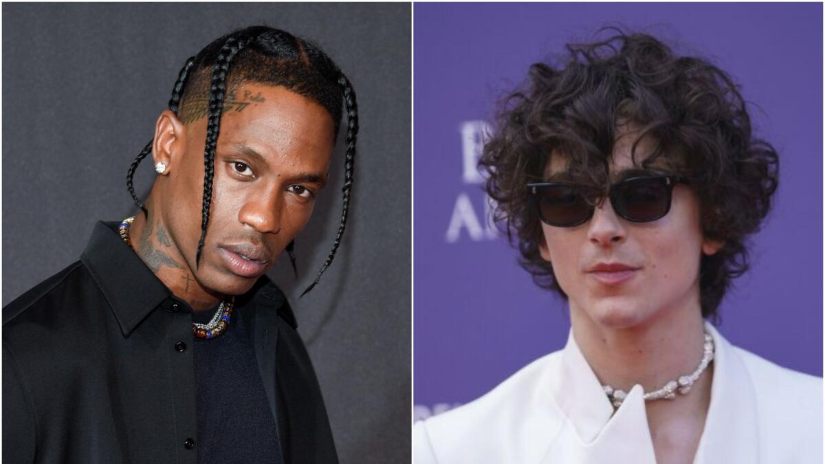 Travis Scott maybe called out Timothée Chalamet in new song - Los Angeles  Times