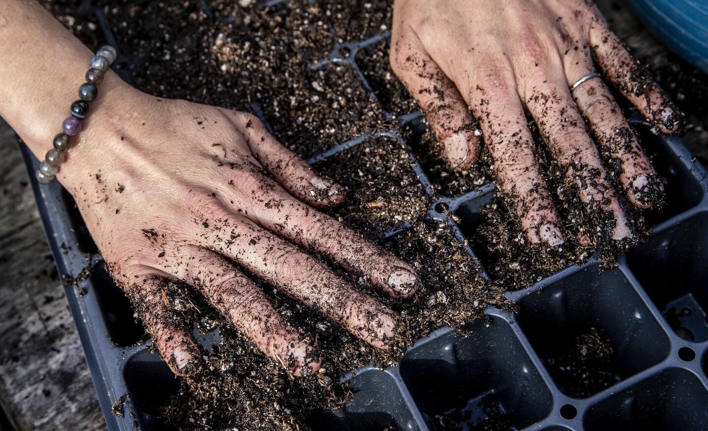 Nancy Terry prepares soil for new seedlings