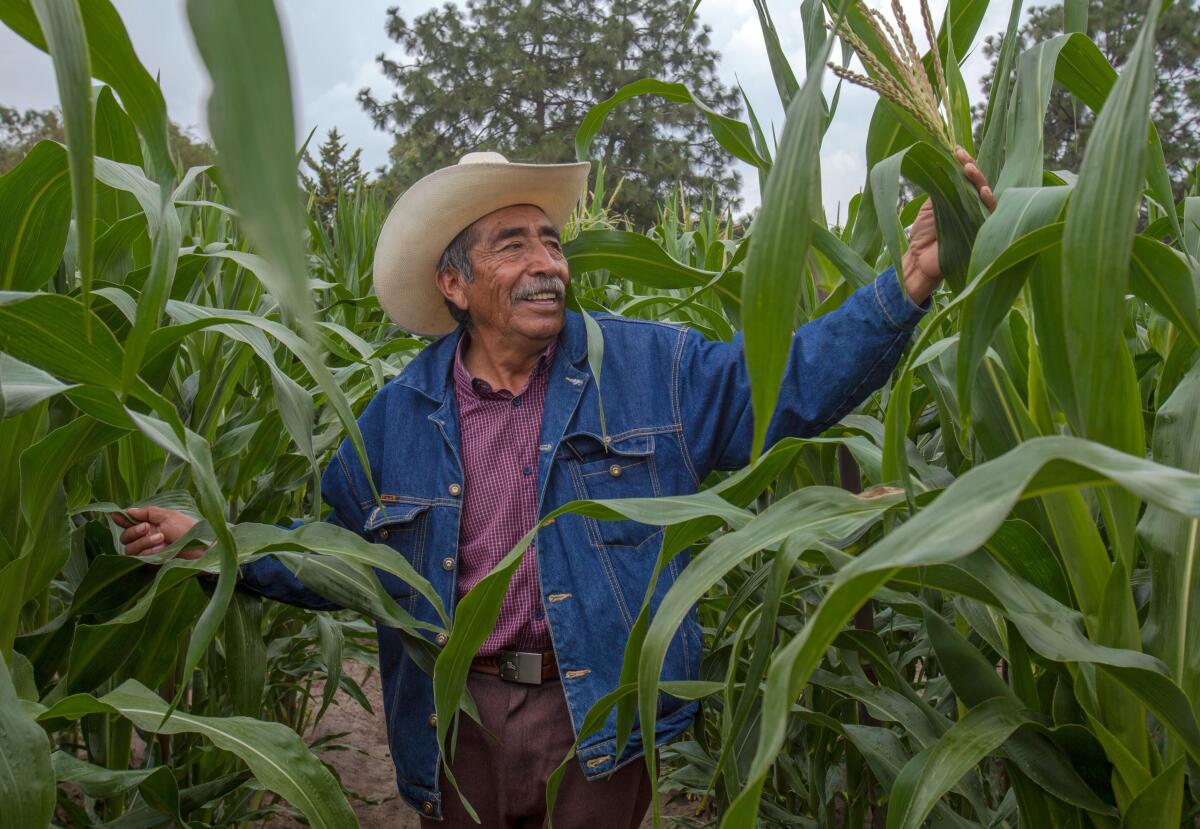 Los socios del T-MEC pactan luchar contra cambio climático en la agricultura