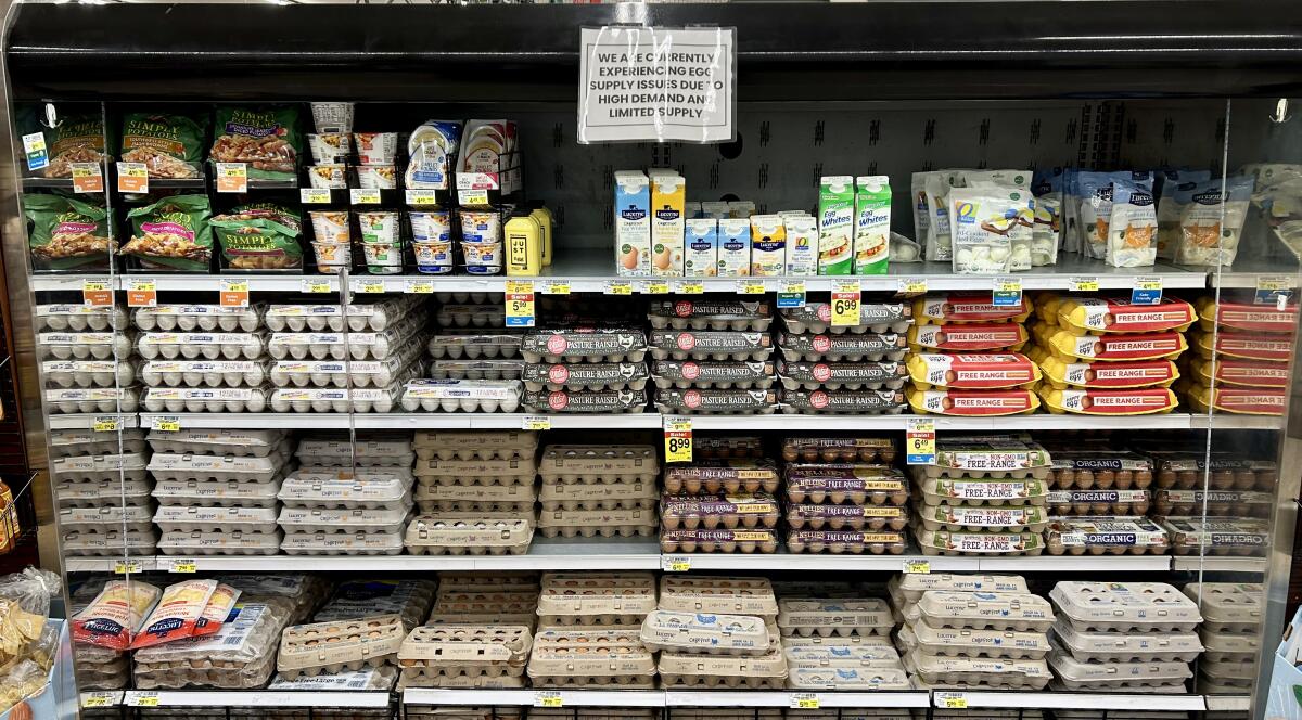 Cartons of eggs in a grocery store