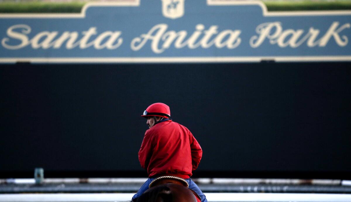 An outrider waits by the track as horses train for the Breeders' Cup at Santa Anita Park in 2014.