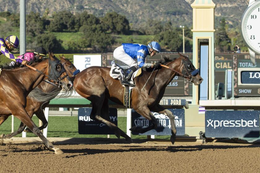 In a photo provided by Benoit Photo, Thousand Words and jockey Flavien Prat win the Grade III $200,000 Robert B. Lewis Stakes horse race, giving trainer Bob Baffert his 3,000th win, Saturday, Feb. 1, 2020, at Santa Anita in Arcadia, Calif. (Benoit Photo via AP)