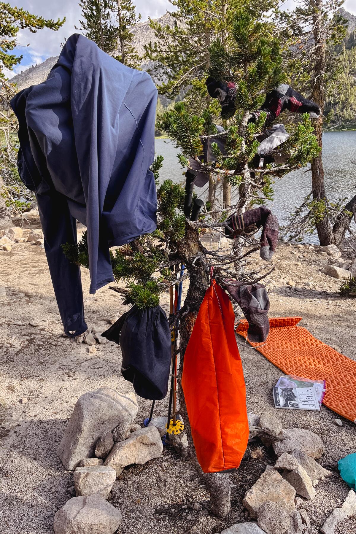 Clothing and camping gear hang on a tree near a lake. 