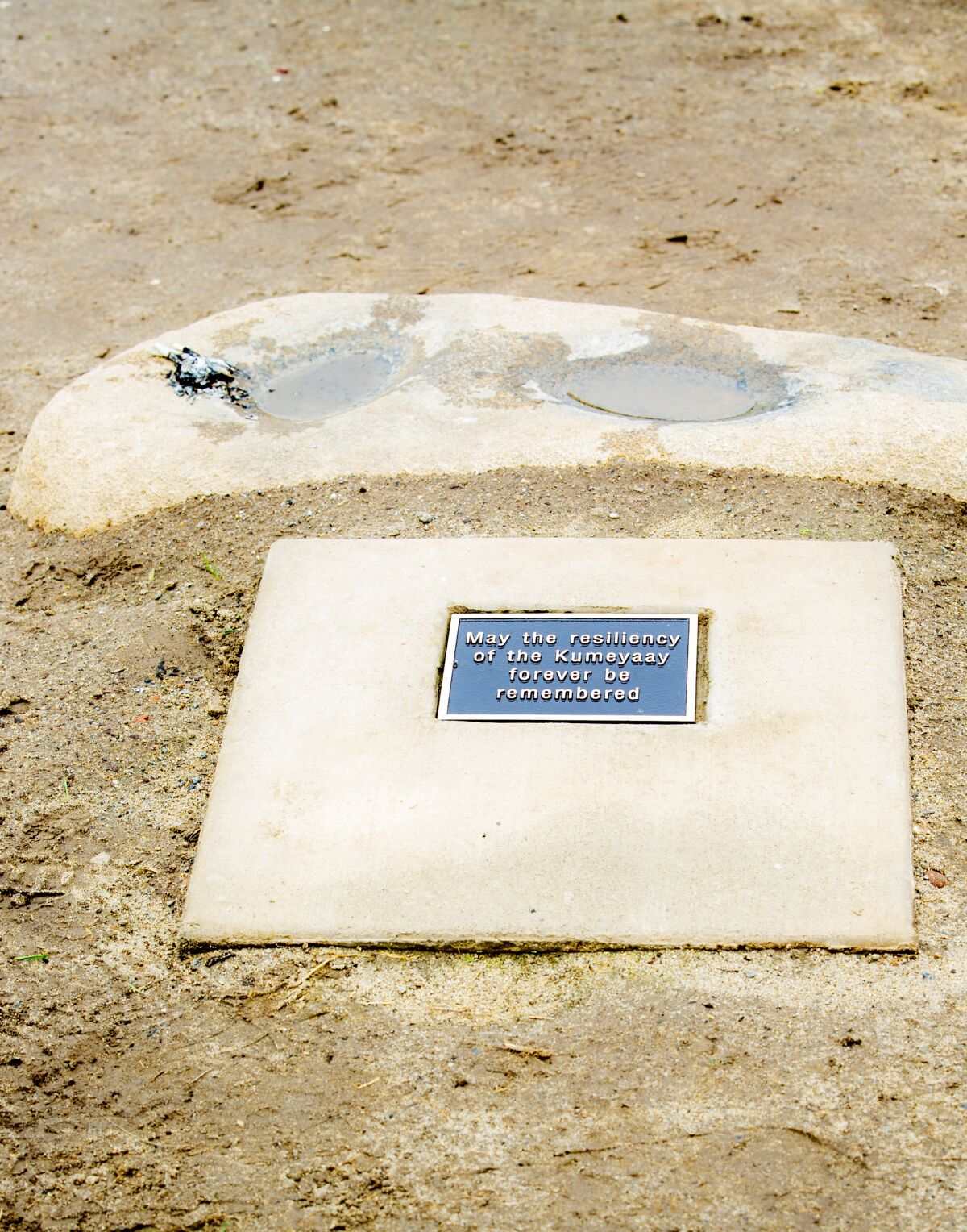 A plaque placed in front of the bedrock mortar in Cuvier Park.