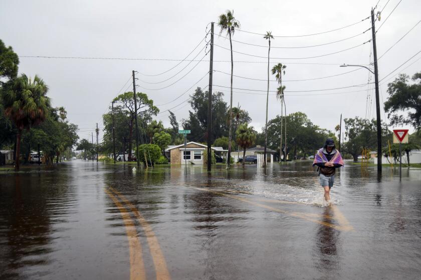 Carter Grooms, de 25 años, camina sobre calles inundadas en el vecindario Shore Acres de St. Petersburg, Florida, el lunes 5 de agosto de 2024, tras el paso del huracán Debby. (Dylan Townsend/Tampa Bay Times vía AP)