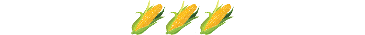 An illustration of corn