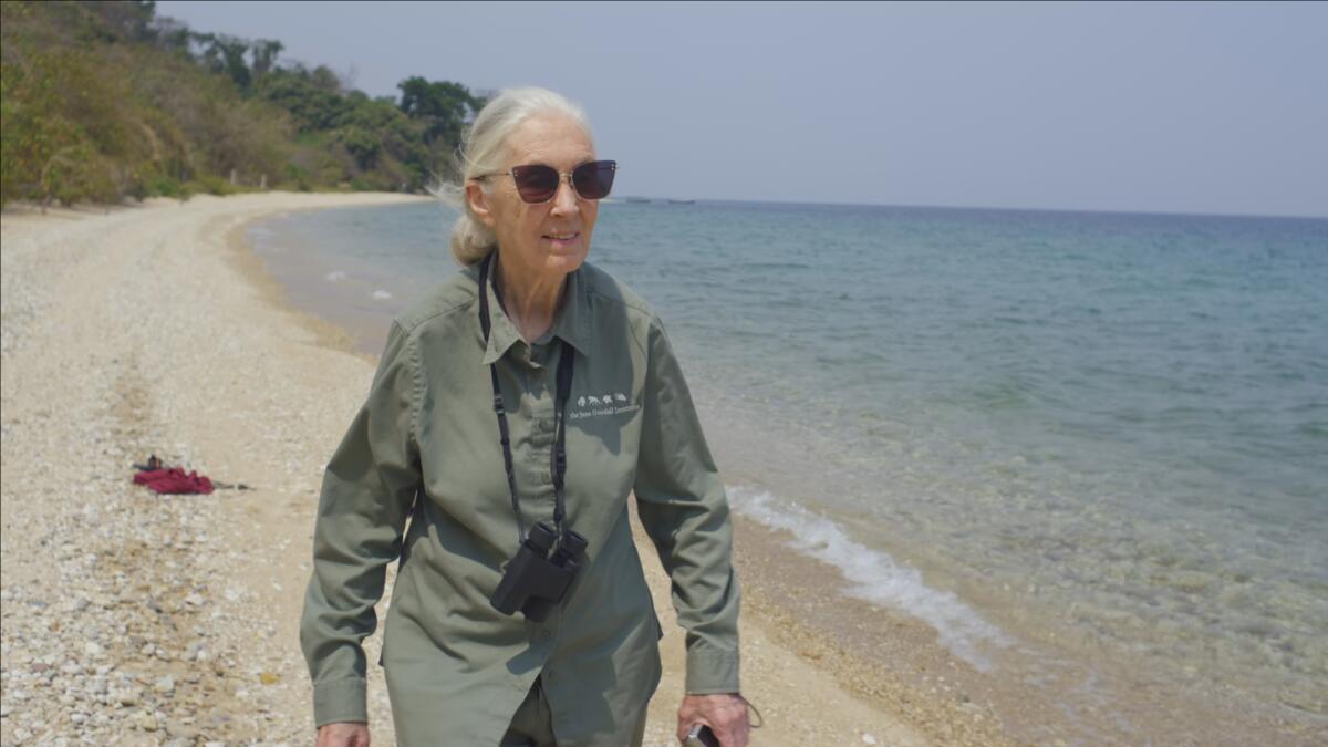 Jane Goodall walking along the beach of Lake Tanganyika in "Jane Goodall: The Hope."
