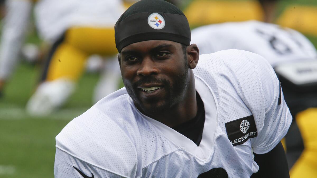 Petition seeks to keep Michael Vick from playing for Pittsburgh Steelers -  Los Angeles Times