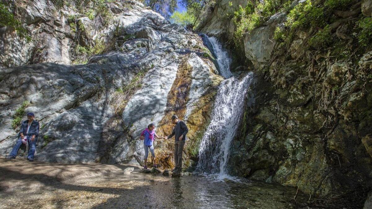 The waterfalls at Monrovia Canyon Park are surrounded by a lush canopy of oaks and alders.