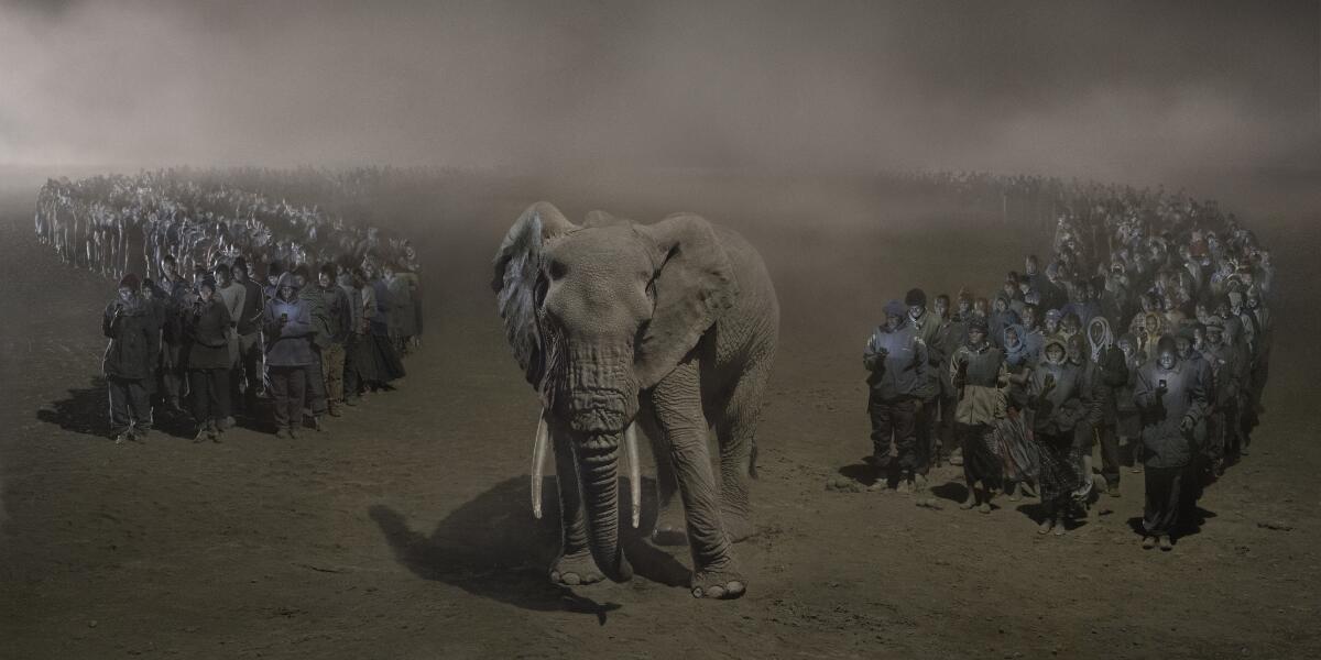 This elephant getting his nose into just about everything, especially  photographers : r/pics