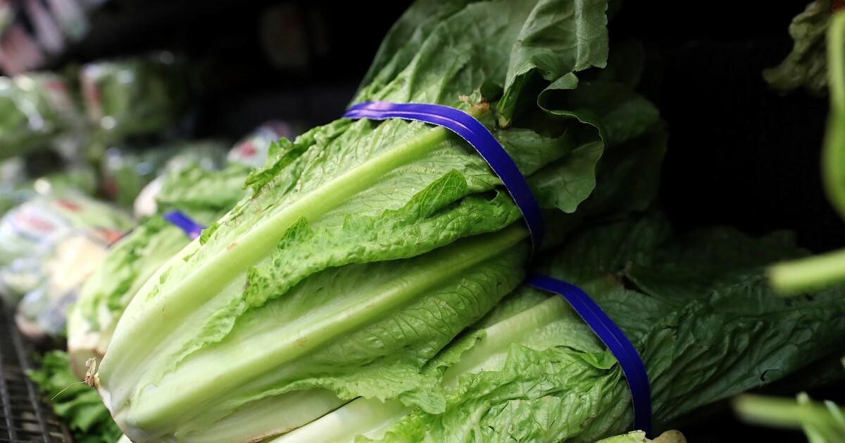 Opinion: The Salinas lettuce recall is what happens with a rollback of food safety rules - Los Angeles Times