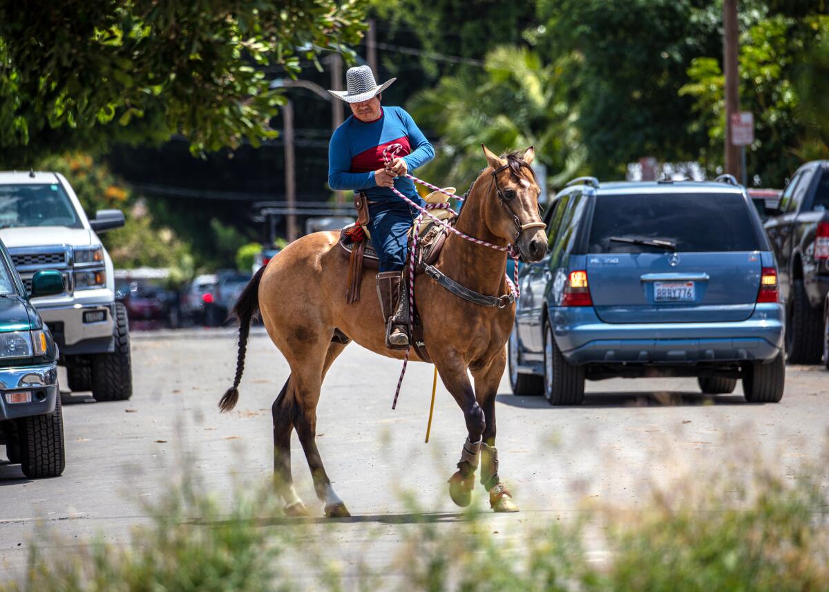 A man rides a horse on a street with cars in the background.