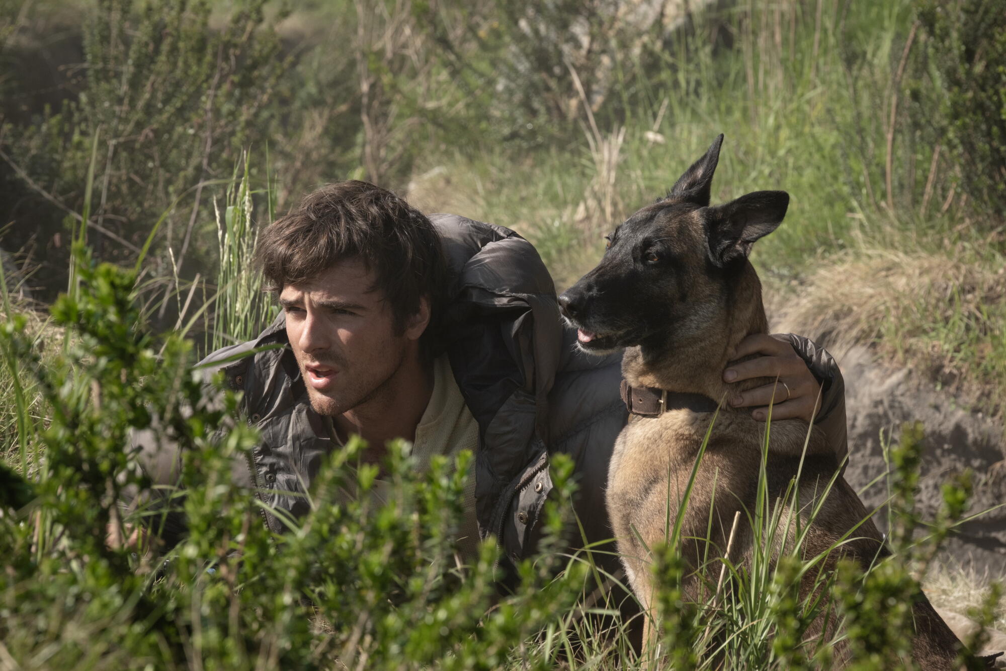 The Dog Stars' review: It's hard to sit up and stay interested - Los Angeles Times