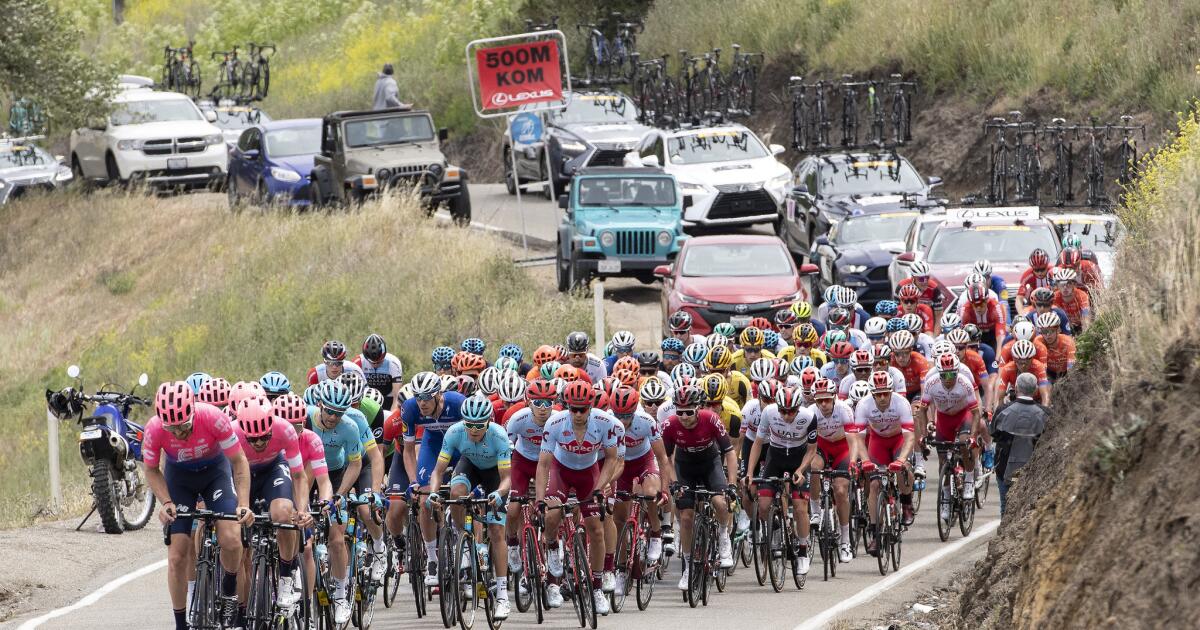 After the new EF kit, one fan decided to give the entire peloton a