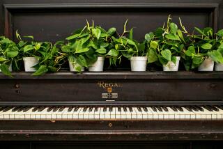 FULLERTON, CA - JULY 20: A old piano serves as a plant stand at The Green Place plant shop on Wednesday, July 20, 2022 in Fullerton, CA. (Jason Armond / Los Angeles Times)